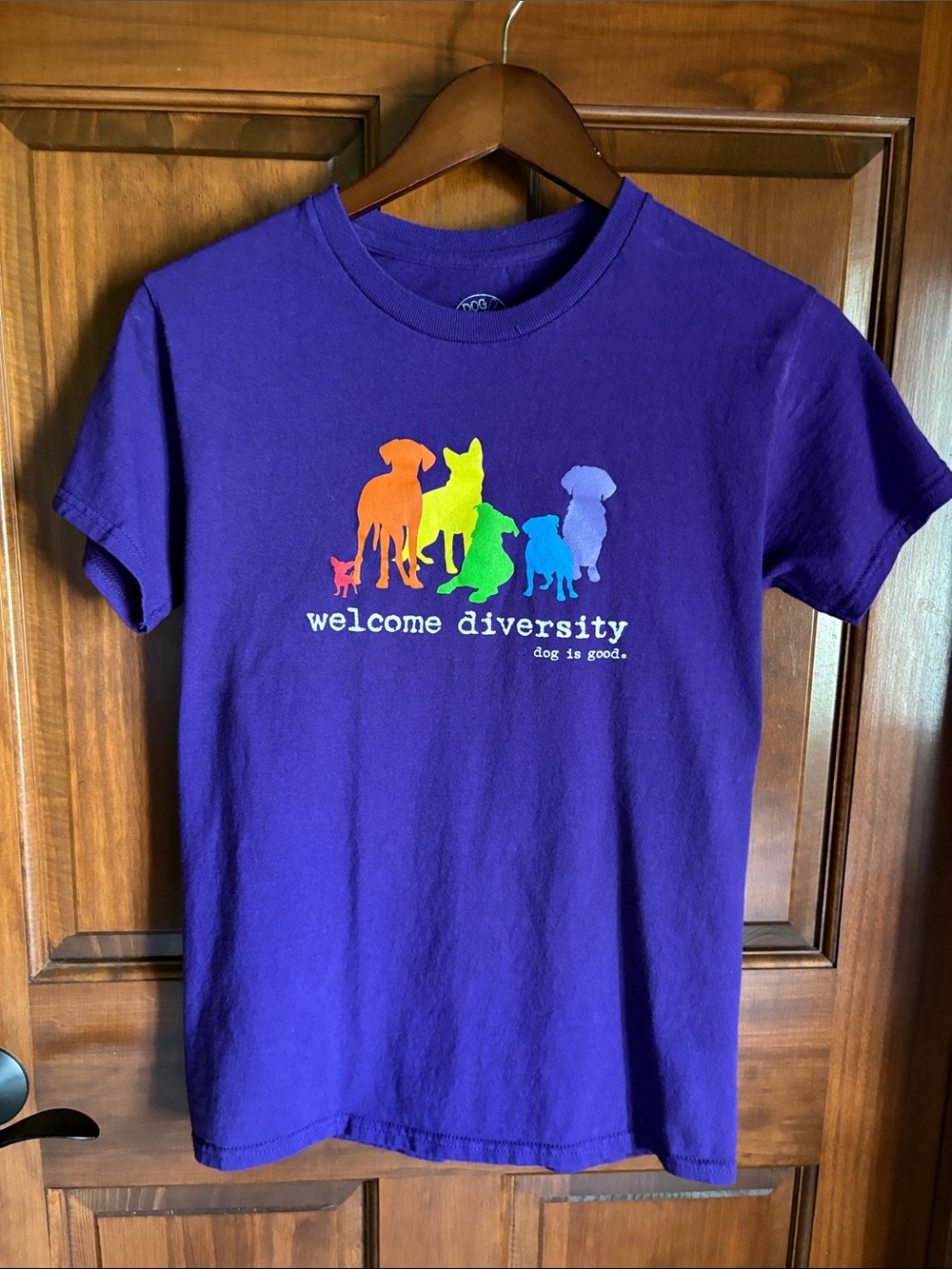 Pride "Welcome Diversity"  Muliticolor Dog Graphic Short Sleeve Tee Women's S